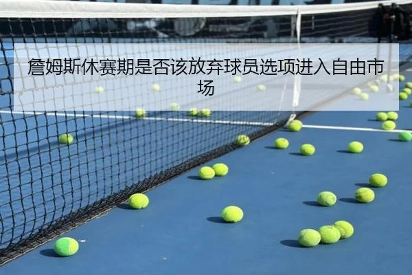 詹姆斯休赛期是否该放弃球员选项进入自由市场